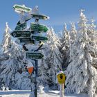 Winter im Thüringer Wald