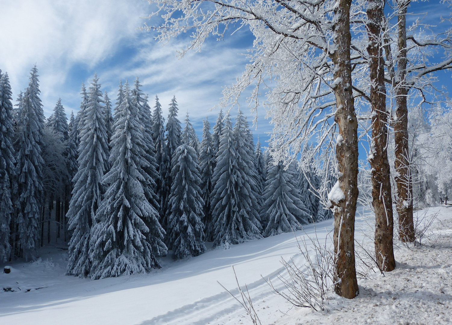 Winter im Thüringer Wald