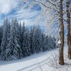 Winter im Thüringer Wald