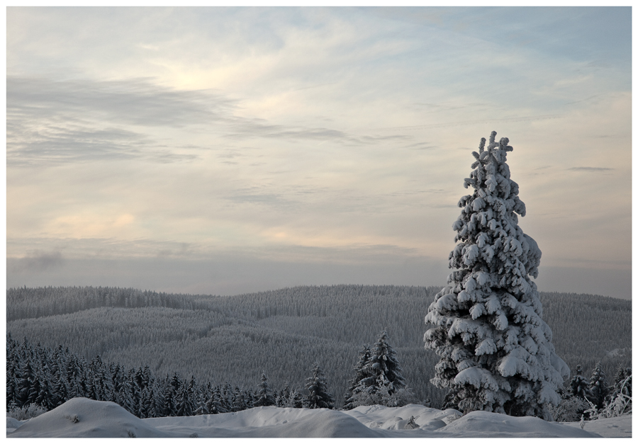 Winter im Thüringer Wald