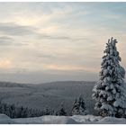 Winter im Thüringer Wald