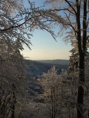 winter im thüringer wald