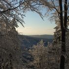 winter im thüringer wald