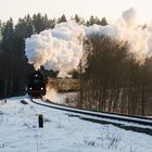 Winter im Thüringer Wald