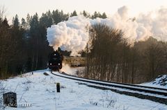 Winter im Thüringer Wald