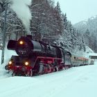 Winter im Thüringer Wald