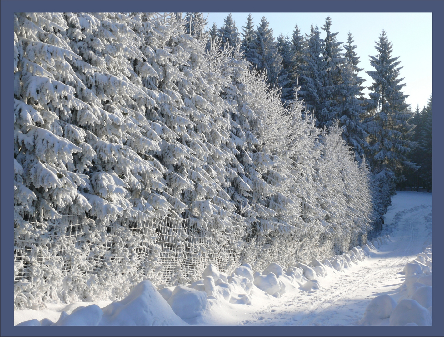 Winter im Thüringer Wald