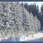 Winter im Thüringer Wald