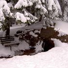 Winter im Thüringer Wald