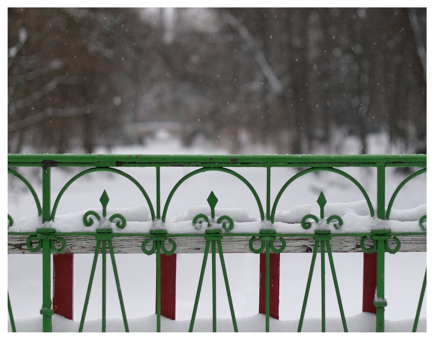 winter im Tiergaretn Berlin