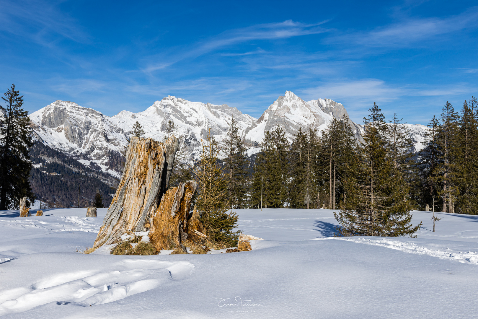 Winter im Toggenburg