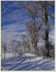 Winter im Tollensetal