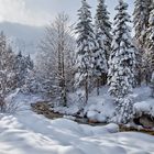 Winter im Triglav - Nationalpark