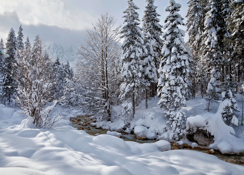 Winter im Triglav - Nationalpark