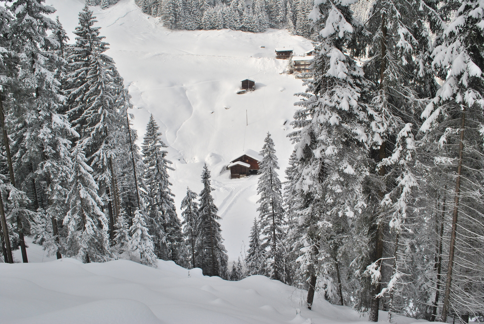 Winter im Tuxertal