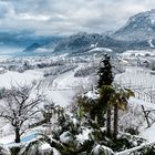 Winter im Überetsch