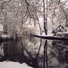 Winter im Unterspreewald