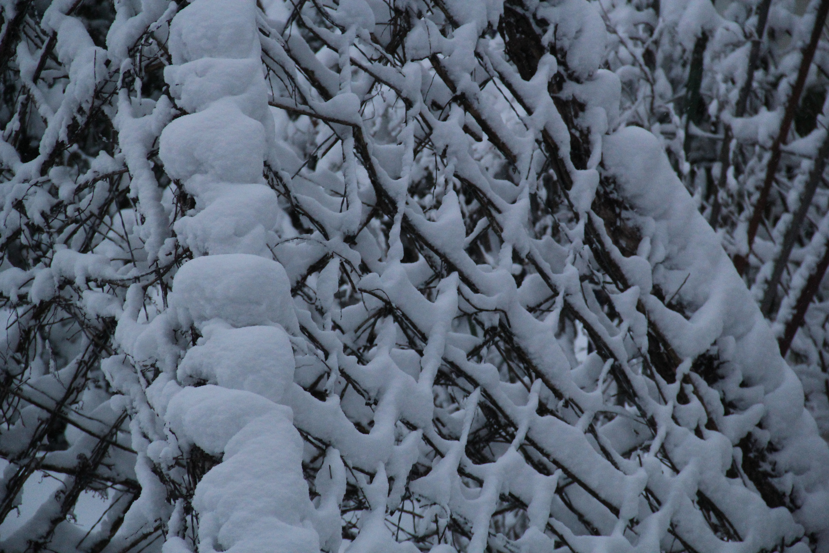 Winter im Välsli