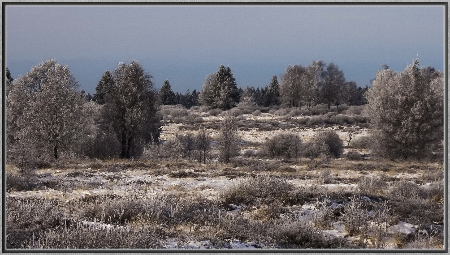 Winter im Venn