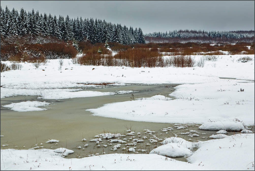 Winter im Venn