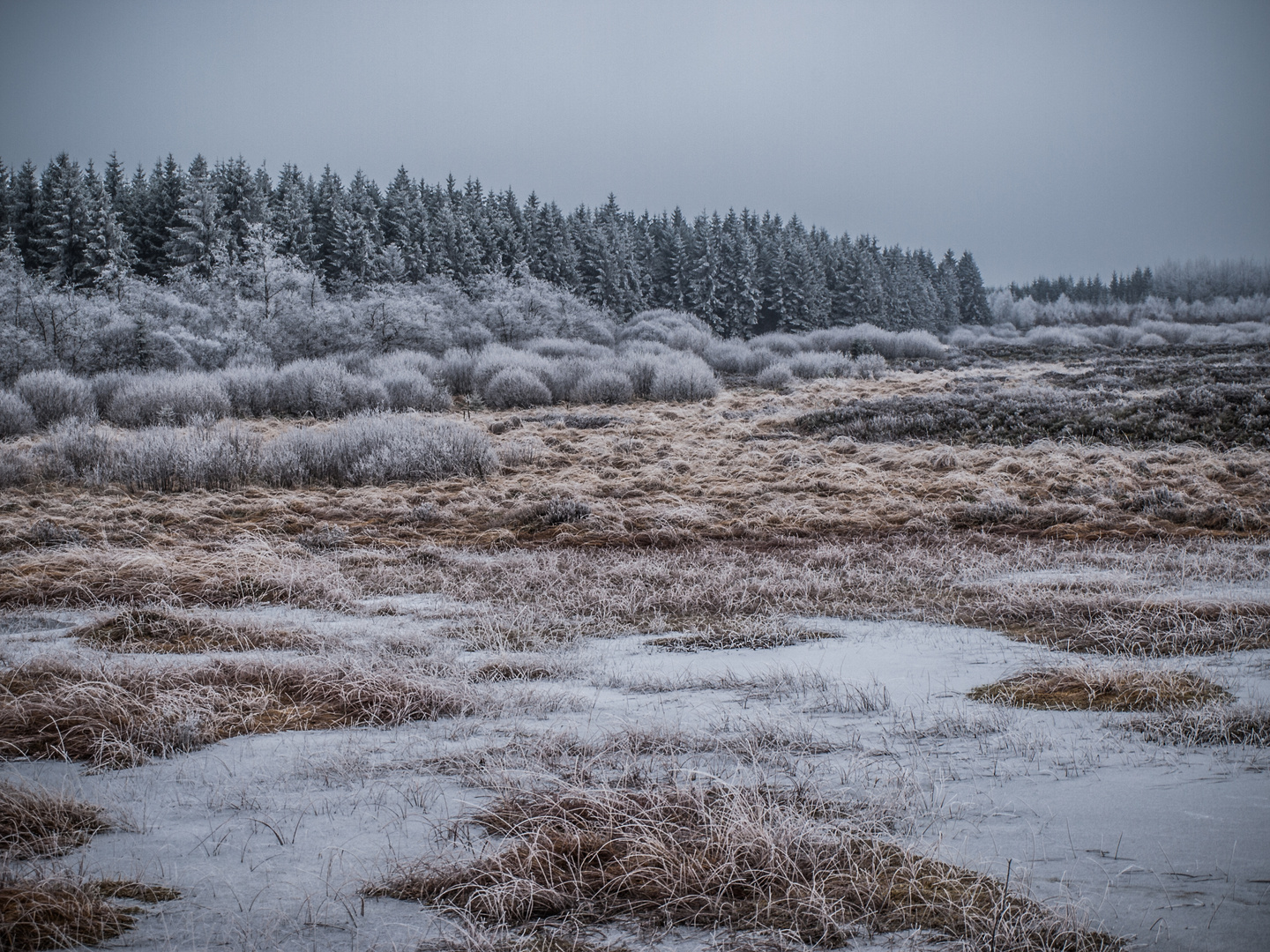 Winter im Venn