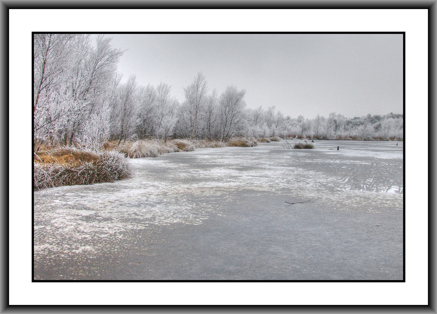 Winter im Venner Moor