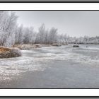 Winter im Venner Moor