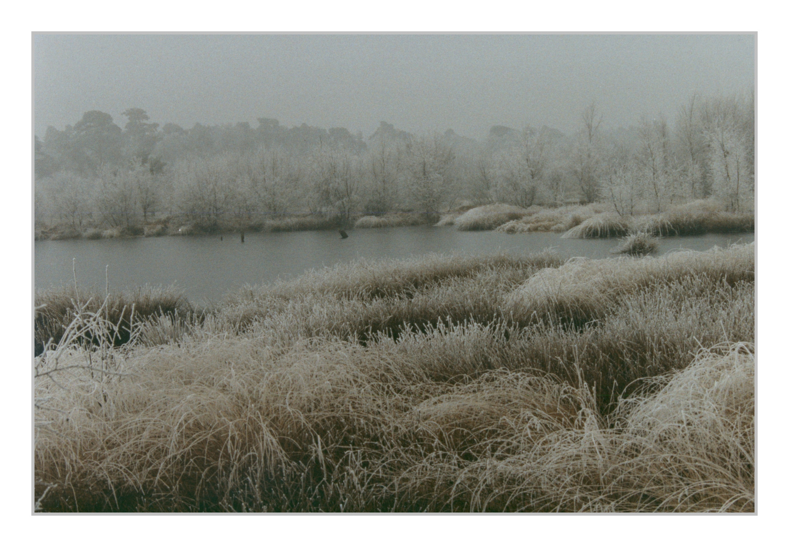 Winter im Venner Moor