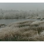 Winter im Venner Moor