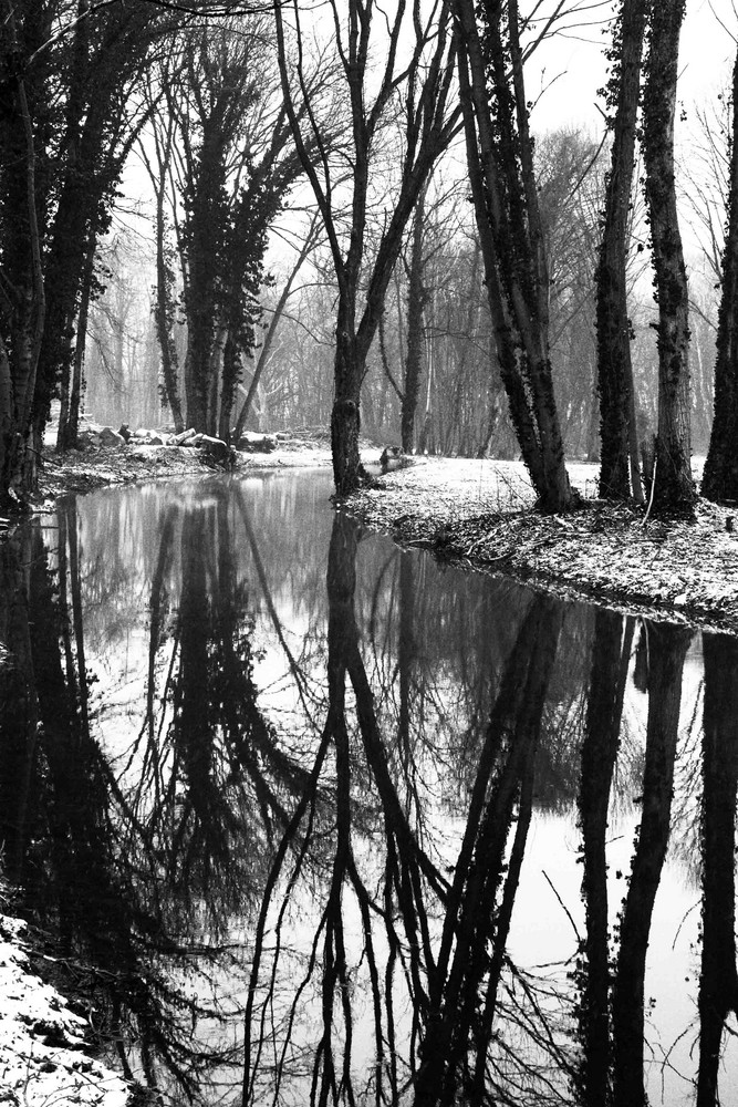 Winter im verwilderten Schlosspark