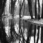 Winter im verwilderten Schlosspark