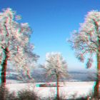 Winter im Vogelsberg 1 (3D-Bild für Rot/Cyan Brille)