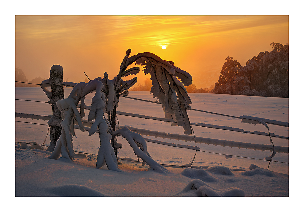 Winter im Vogelsberg 2