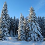 Winter im Vogtländle