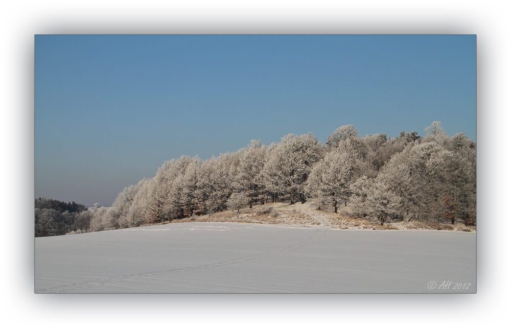 Winter im Vogtland