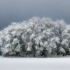 Winter im Vogtland