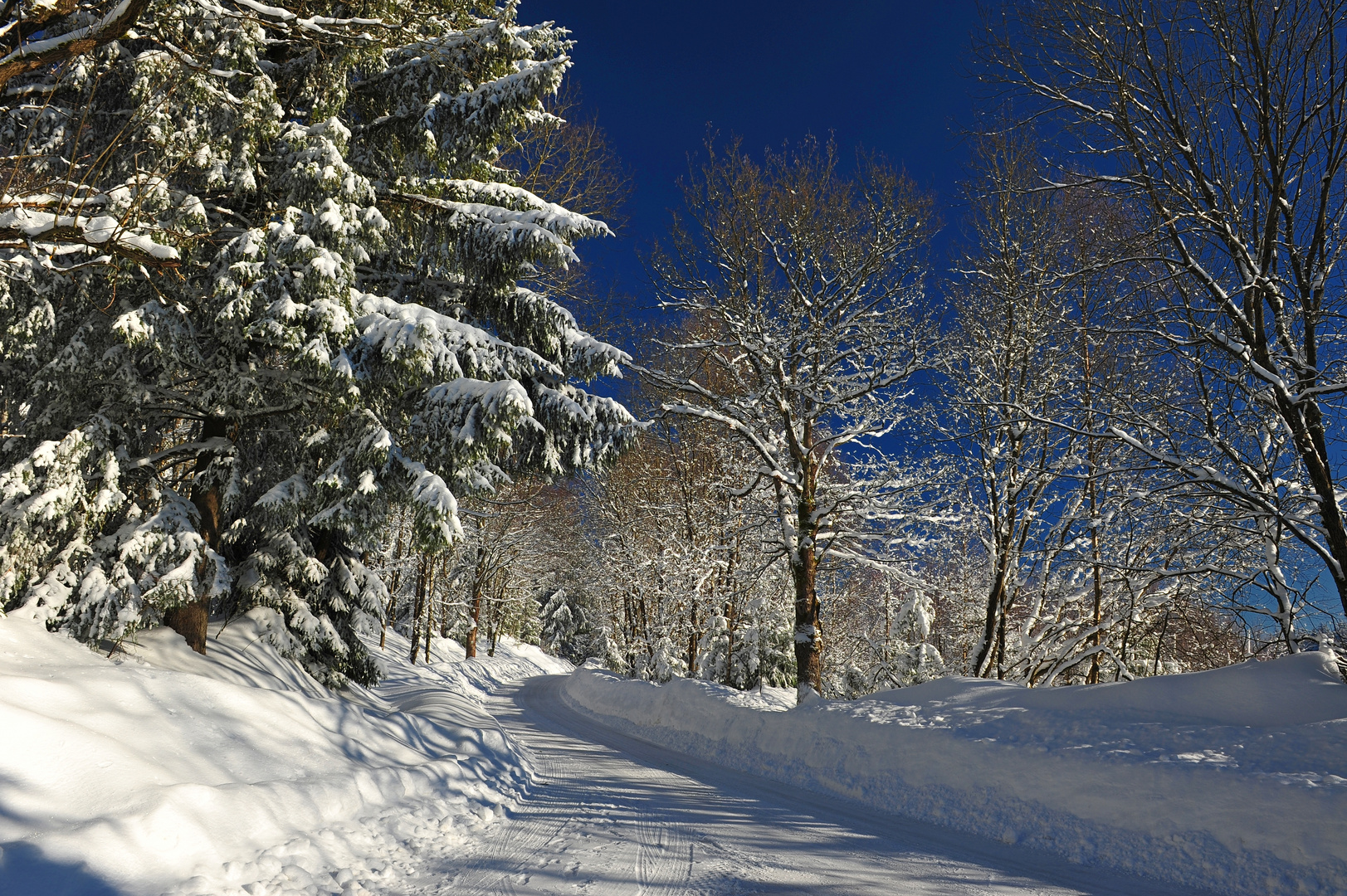 Winter im Vogtland