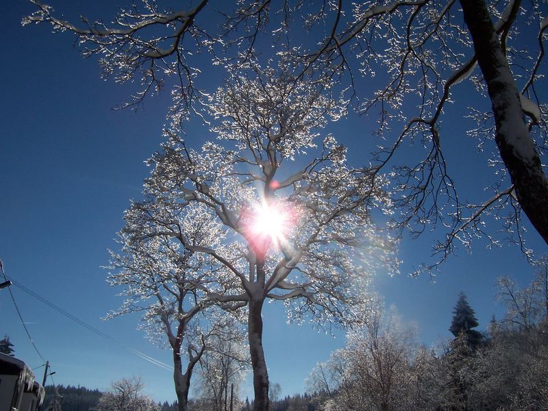 Winter im Vogtland