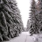 Winter im Vogtland