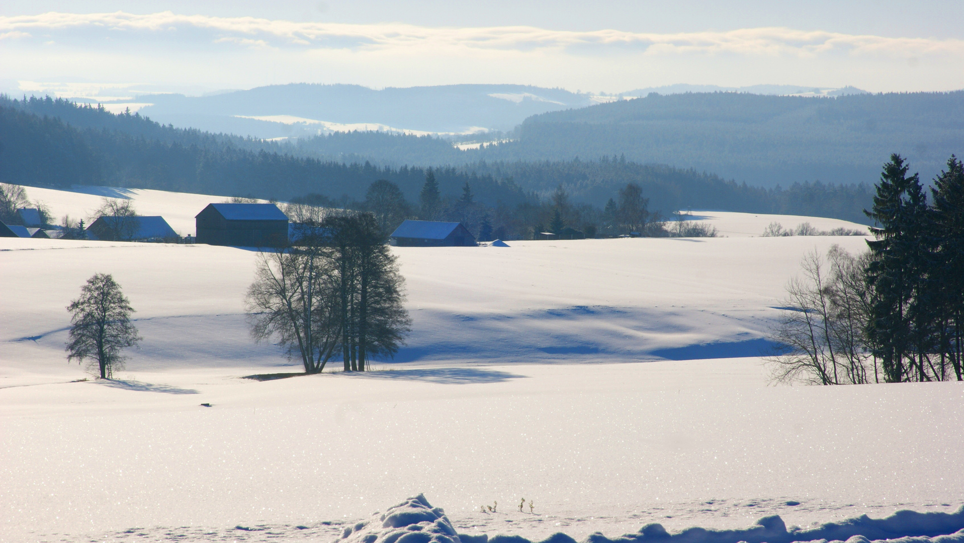 Winter im Vogtland