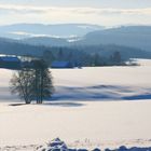 Winter im Vogtland