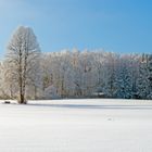 Winter im Vogtland