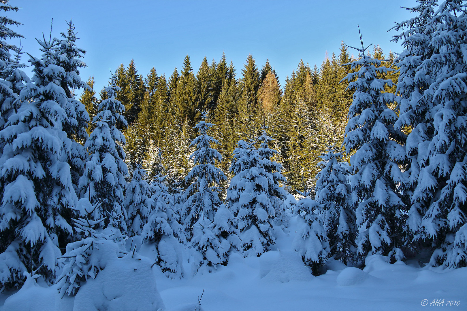 Winter im Vogtland