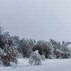 Winter im Vogtland