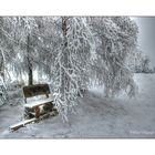 Winter im Vogtland