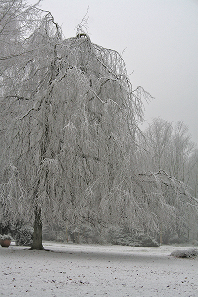 " Winter im Volkspark "