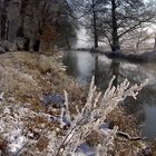 Winter im Vor-Spreewald