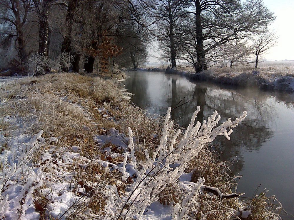 Winter im Vor-Spreewald