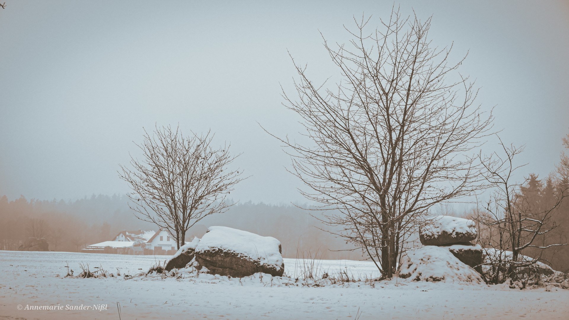 Winter im Vorderen Bayerischen Wald