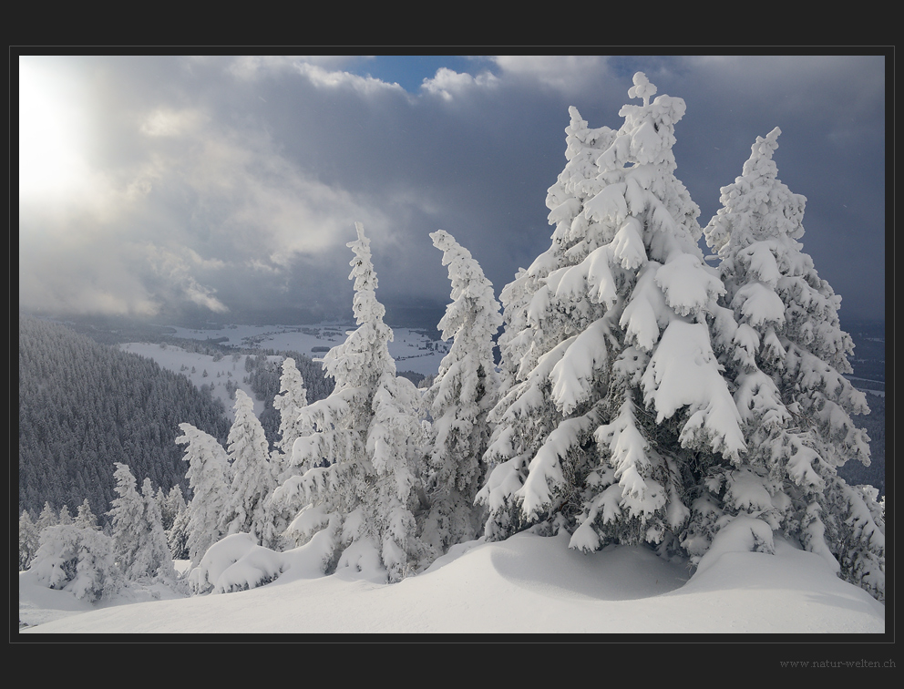 Winter im Waadländer Jura